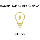 Gold light bulb icon with lightning bolt inside, labeled “Exceptional Efficiency COP22,” representing Grannus high-efficiency pool heating technology.